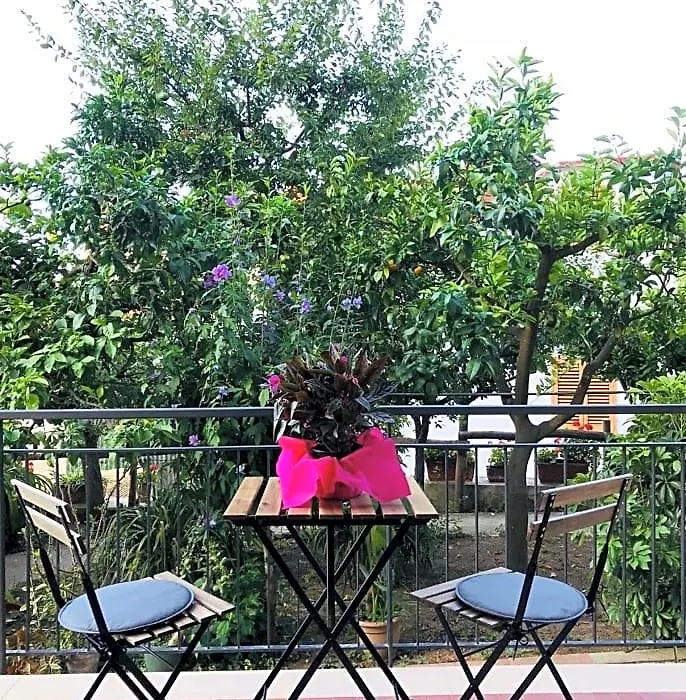 B&B Miccio-1